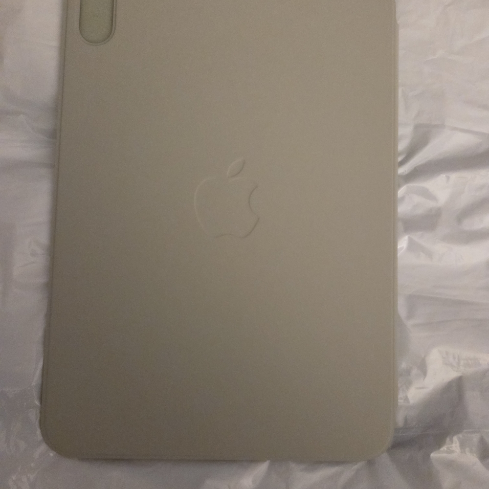 Apple Smart Folio iPad Mini magnetic case in Sage.